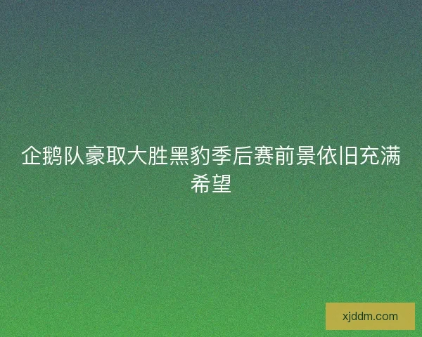企鹅队豪取大胜黑豹季后赛前景依旧充满希望
